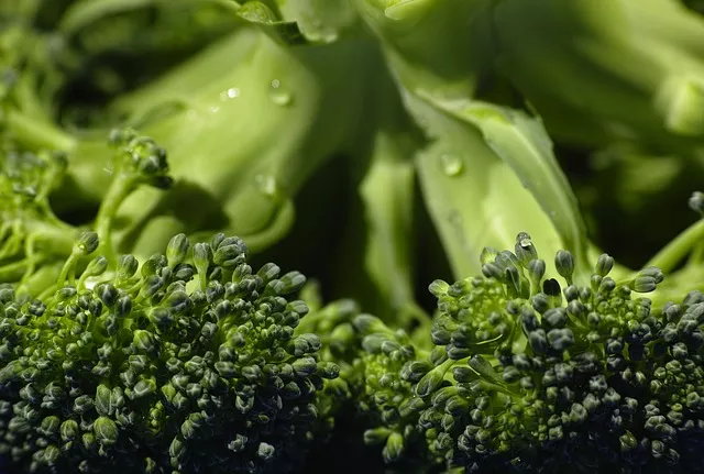 Vegetal de hoja verde y sus propiedades
